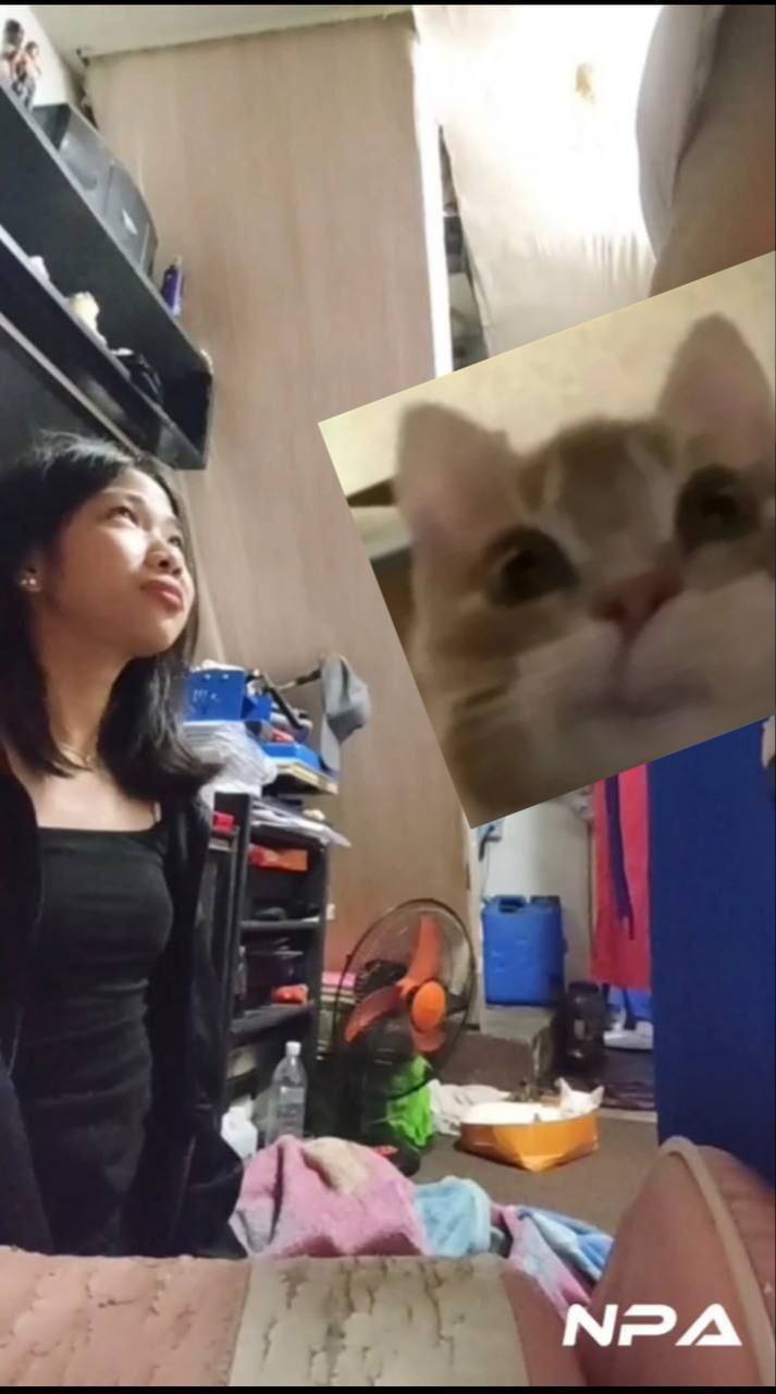 2 anh em mỗi khi bố mẹ vắng nhà